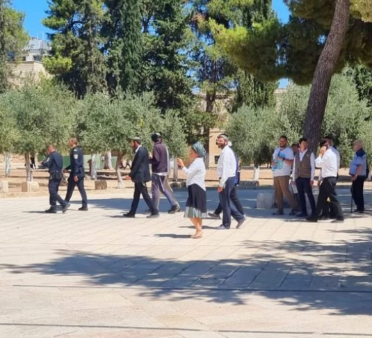  عشرات المستوطنين يقتحمون الأقصى وقيود على أبوابه