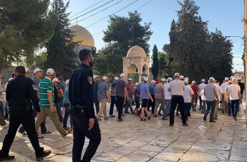  مستوطنون يقتحمون باحات “الأقصى”.. والبحرية الصهيونية تستهدف صيادين بغزة