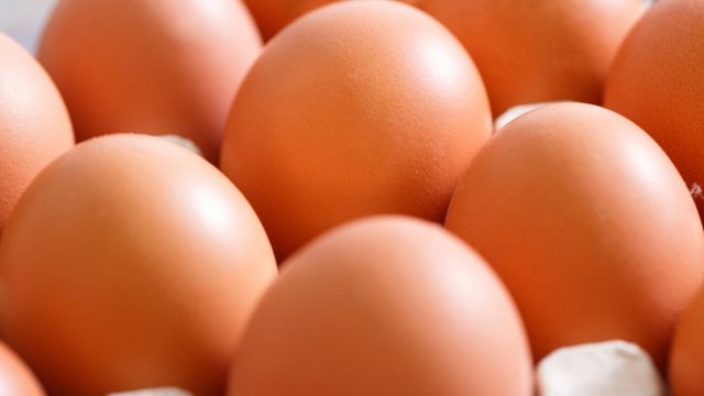  سعر طبق البيض الأحمر يقفز إلى 115 جنيهًا