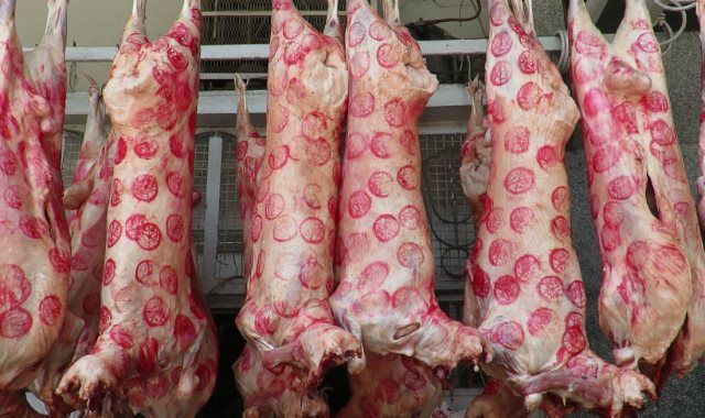  قفزة جديدة بأسعار اللحوم.. والكبدة ترتفع لـ 320 جنيهًا