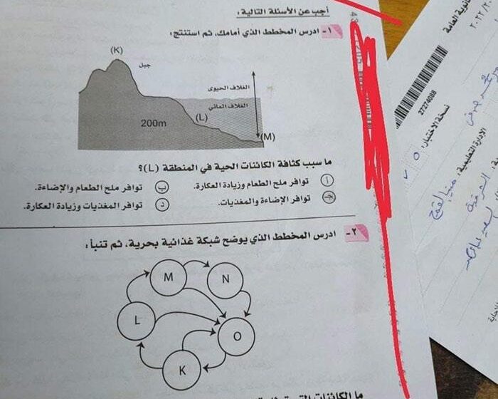  طالبة من منيا القمح تسرب أسئلة الجيولوجيا للثانوية العامة