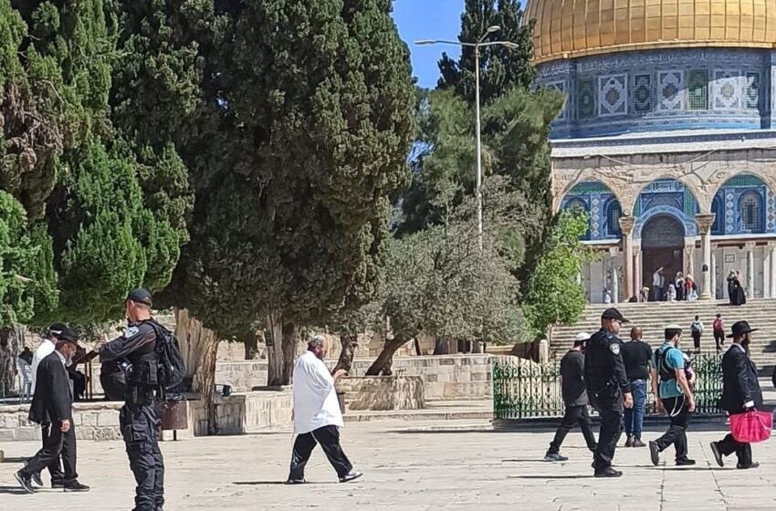  مستوطنين يقتحمون “الأقصى” بحماية شرطة الاحتلال