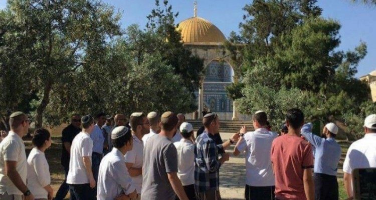  مستوطنون يقتحمون الأقصى.. والاحتلال يعتقل 5 صيادين فلسطينيين