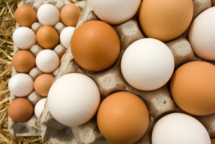  في حكم العسكر.. طبق البيض بـ45 جنيهًا