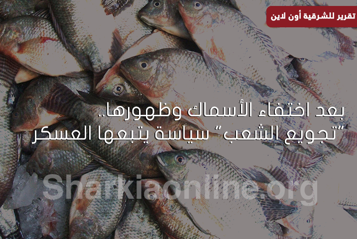  بعد اختفاء الأسماك وظهورها.. “تجويع الشعب” سياسة يتبعها العسكر