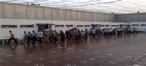  الأسرى الفلسطينيون بسجون الاحتلال يواصلون إضرابهم للأسبوع الثالث