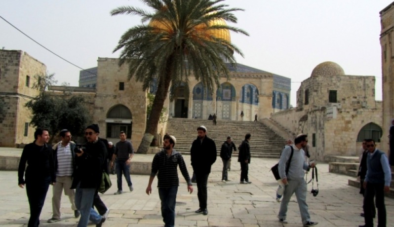  قطعان من المستوطنين تقتحم الأقصى تحت حراسة شرطة الإحتلال