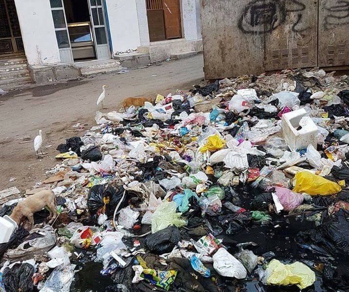  أهالى أبوكبير يشكون من استمرار انتشار القمامة بـ”شارع الخليل”