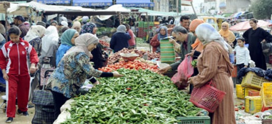  عدية الانقلاب للمصريين.. %15 زيادة في أسعار الخضراوات والفواكه