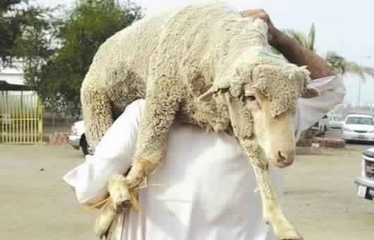  مظاهر الاحتفال بعيد الأضحى في بعض دول العالم
