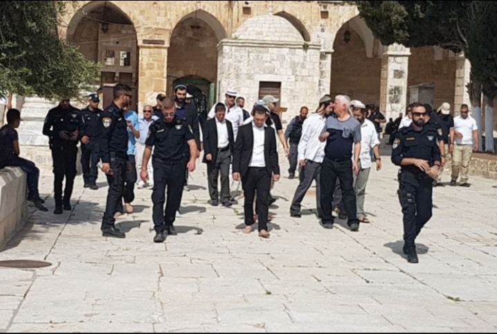  تحت حراسة الاحتلال.. قطعان من الصهاينة يقتحمون الأقصى