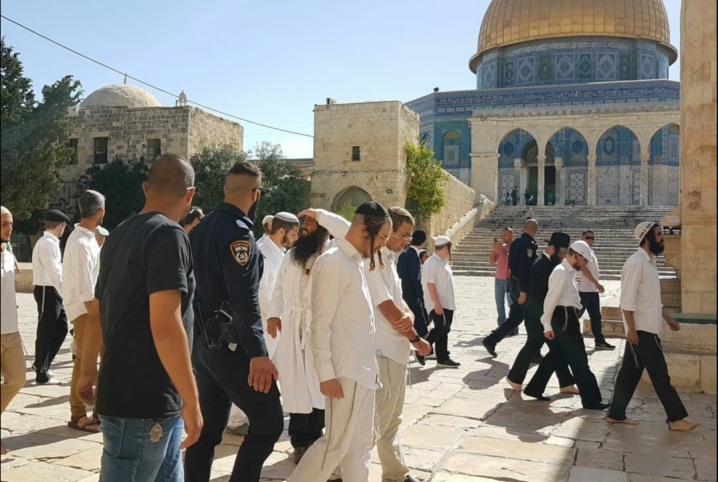  147 متطرفًا من قطعان الصهاينة يقتحمون الأقصى