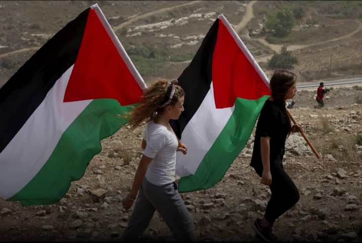  في الذكرى السبعين.. تقسيم فلسطين جرح غائر في قلب الوطن