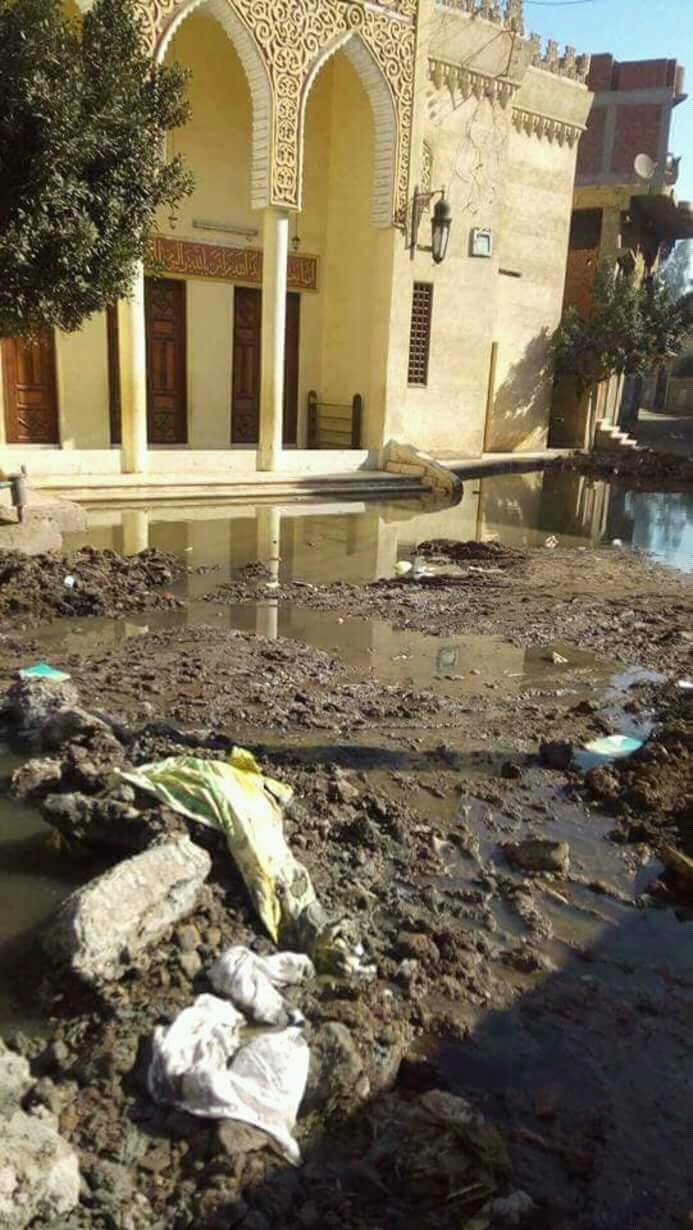  بالصور.. برك المجاري تشق شوارع “التلين” بمنيا القمح