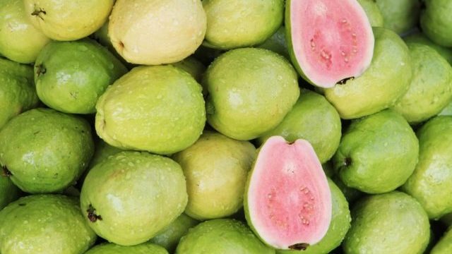  اقتصاد العسكر.. السعودية تحظر استيراد الجوافة المجمدة من مصر