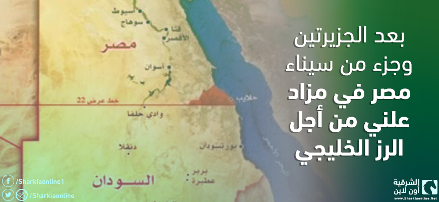  بعد الجزيرتين وجزء من سيناء.. مصر في مزاد علني من أجل الرز الخليجي