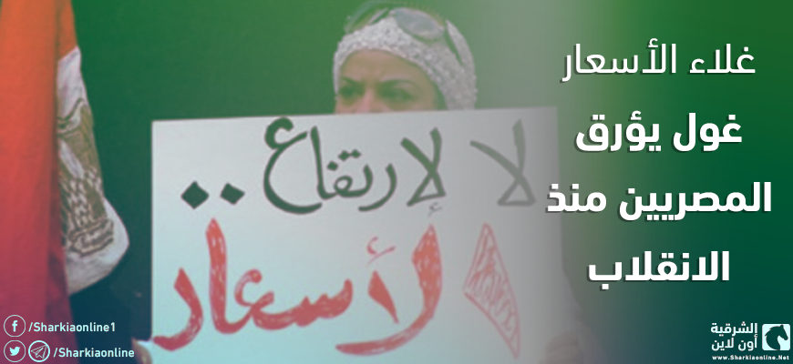  غلاء الأسعار.. غول يؤرق المصريين منذ الانقلاب