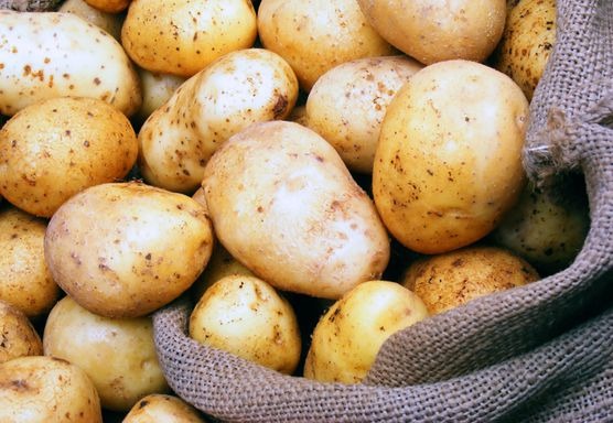  تعالج الروماتيزم وتحسن عملية الهضم.. فوائد البطاطس