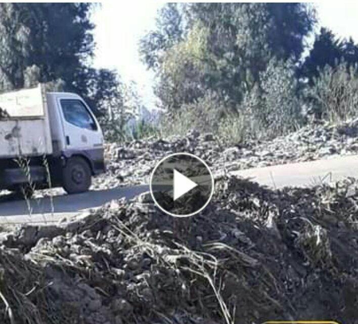  أبوكبير| سيارة الوحدة المحلية بهربيط تلقي القمامة على جانبي الطريق!