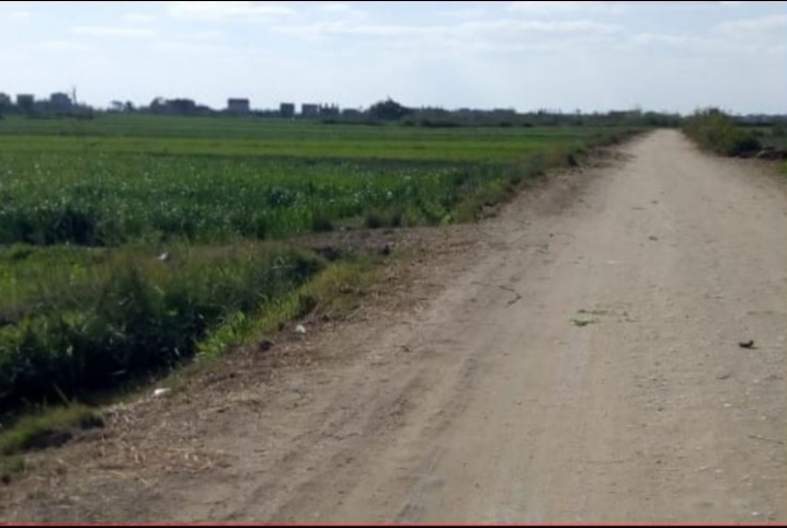  مطالب برصف طريق “أنشاص – حفنا” المار بثلاث عزب