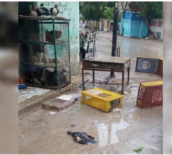  عمود كهرباء به ماس يهدد حياة المواطنين بأبوكبير