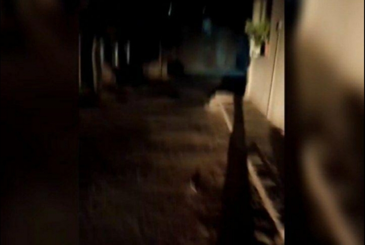  أهالي شارع المستوصف بديرب نجم يشكون تعطل أعمدة الإنارة