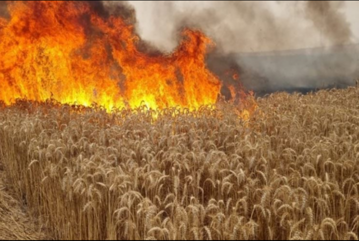  نصرة لأهالي القدس.. 40 حريقًا في “غلاف غزة” بفعل بالونات العودة