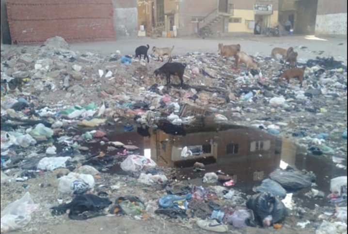  بالصور.. أهالي منطقة مسجد الصوالحية بأبوكبير: “الزبالة ستقضي علينا”