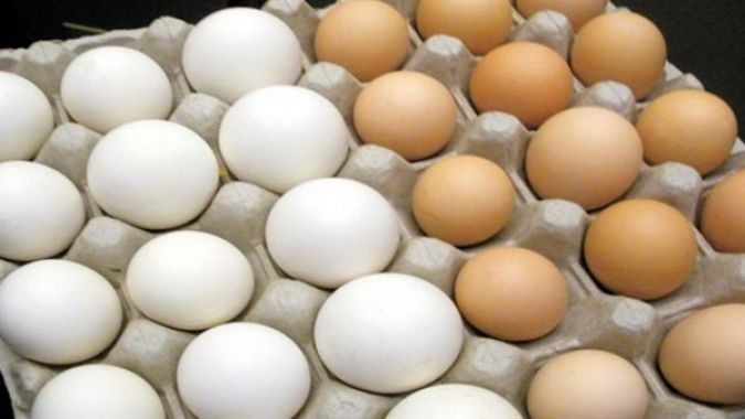  ارتفاعات جديدة في أسعار البيض يثير غضب المواطنين