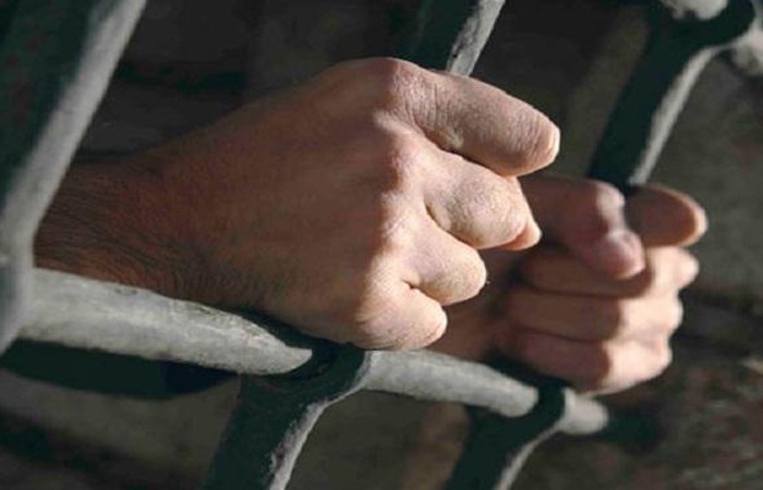 النيابة تقرر حبس متهم بذبح 4 حمير في مزرعة بالإبراهيمية