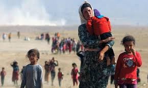  فرار 1700 أسرة عراقية من مدينة الفلوجة في أسبوعين