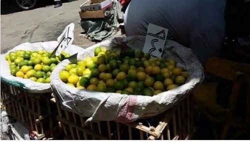  بعد ارتفاع سعره لـ40 جنيهًا.. مواطنون: “الليمون بقى أغلى من كيلو الفراخ”