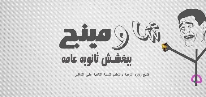 الصحافة الأجنبية: حكومة الانقلاب هزمتها صفحة «شاومينج»