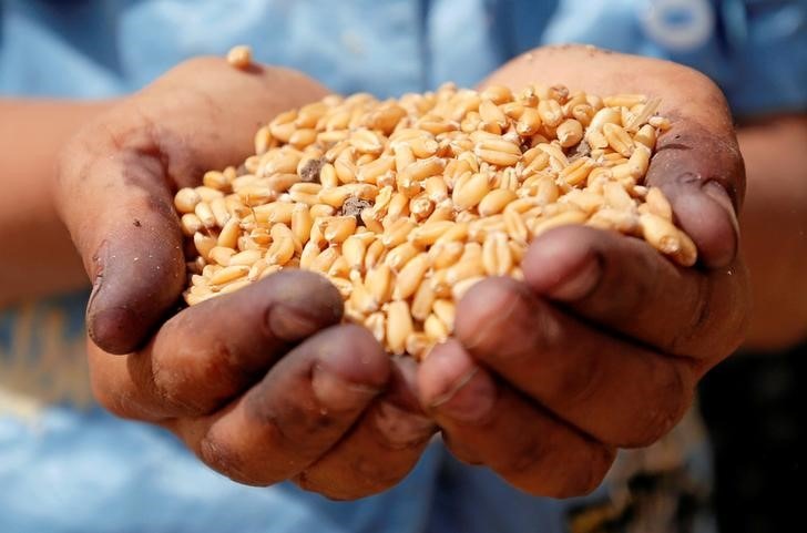  بسبب سياستها التجارية الفاشلة.. مصر تتحمل 860 مليون دولار خسائر