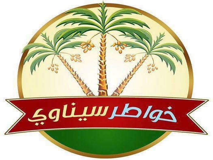  سيناء المنسية..  كيف يتم توثيق معاناة المواطنين هناك؟