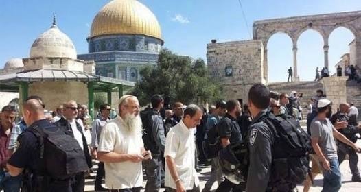  صهاينة يقتحمون الأقصى تحت حراسة شرطة الاحتلال
