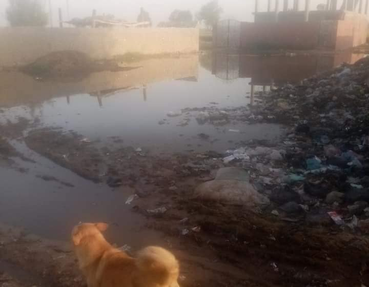 غرق جزيرة سعود بالحسينية في المجاري واستياء بين الأهالي