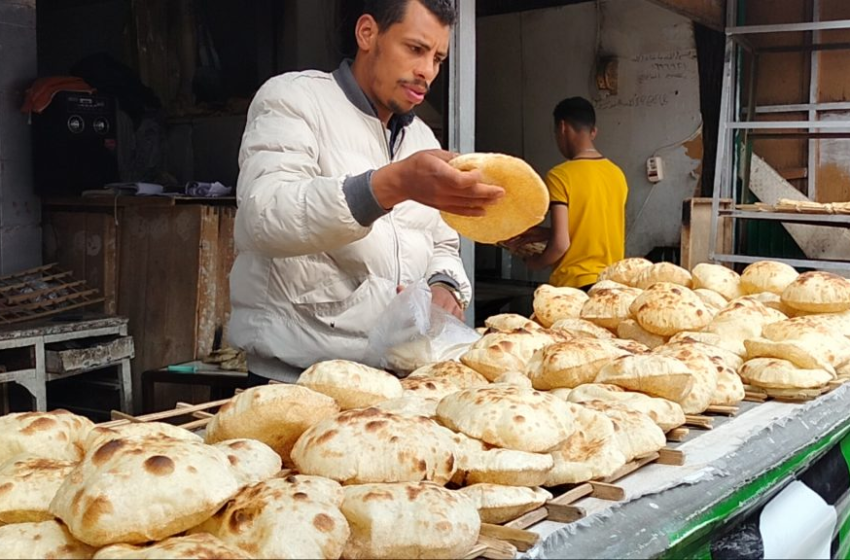  شعبة المخابز: سبب ارتفاع سعر رغيف الخبز وصول طن الدقيق لـ21 ألف جنيه