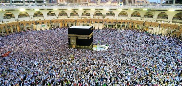  أسعار الحج السياحي تقفز لأرقام قياسية.. والفاخر يسجل 310 آلاف جنيه
