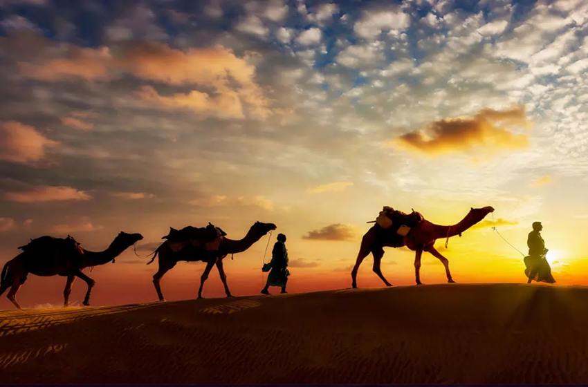  من وحي الهجرة.. أهمية الجهد الفردي