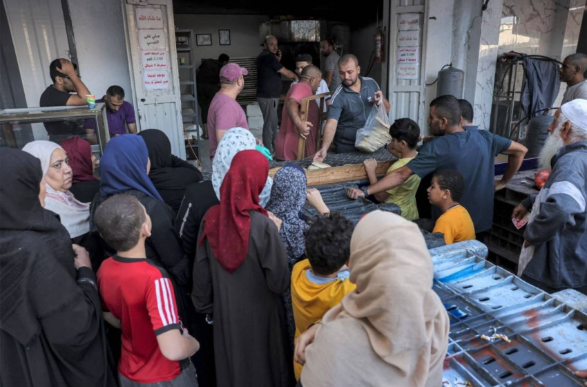  “الأغذية العالمي”: مخبز واحد بقي من 23 نتعامل معها في غزة