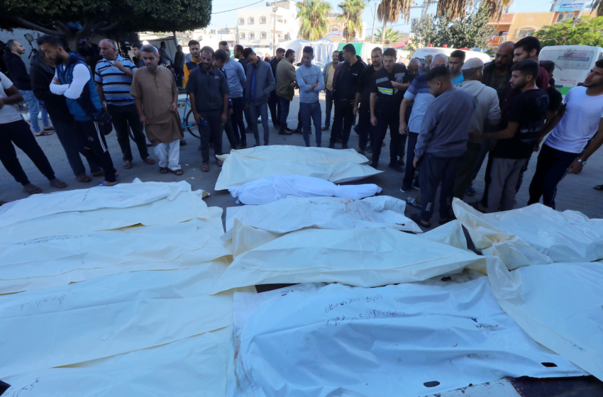 العدوان على غزة.. عدد الشهداء يتخطى 12 ألفا