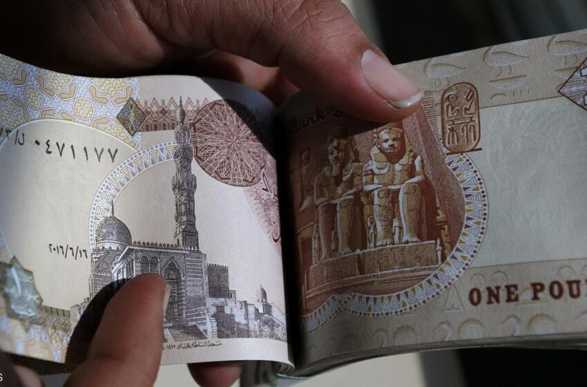 مصر في ذيل الدول العربية بمتوسط الرواتب والأجور