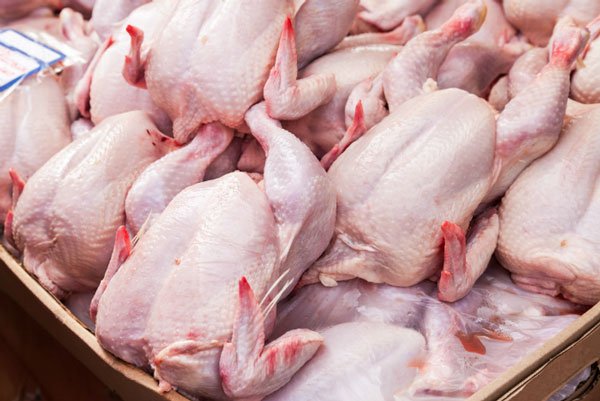  تبدأ غدا.. حملة لمقاطعة شراء الدجاج احتجاجاً على ارتفاع أسعارها
